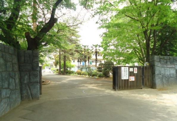 東武大宮公園サンライトマンション弐番館 周辺画像8