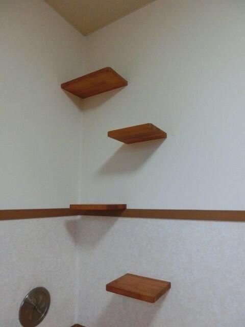 コンフォート大宮Ｂ その他15