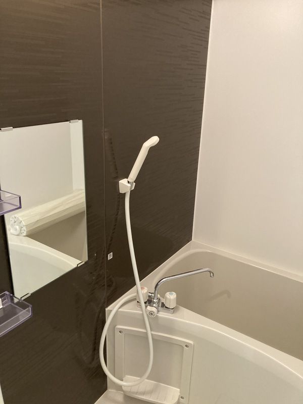 アークプレイス蓮沼 風呂画像