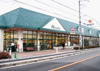 イースタンスカイ大和田 周辺画像10