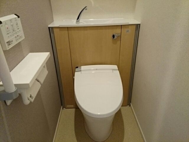 ピエール　ブランシュⅡ その他2