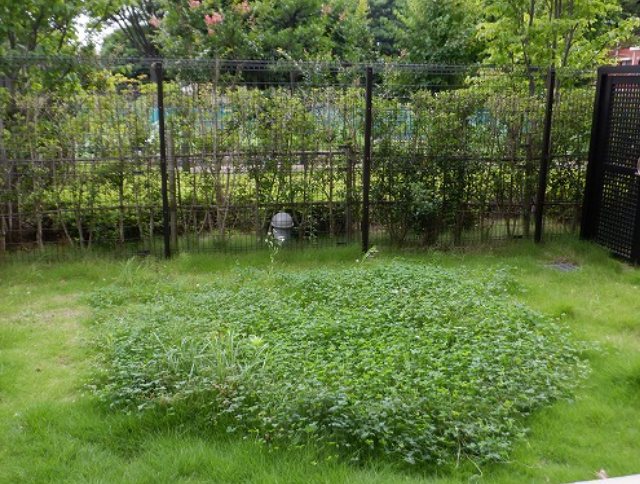 イニシア大宮日進 その他6