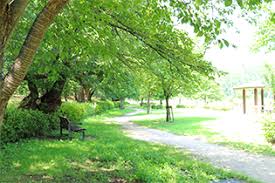 KEIAI RESIDENCE 大和田Ⅱ 周辺画像7