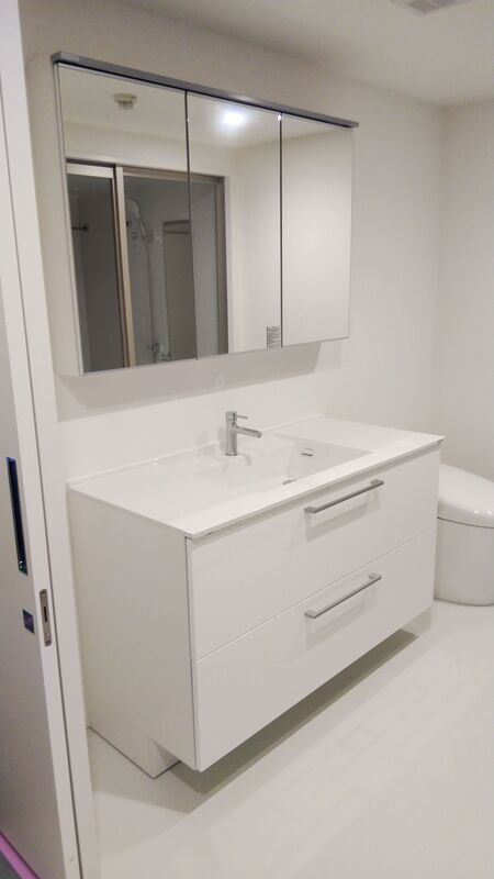 ゼルコヴァ その他1