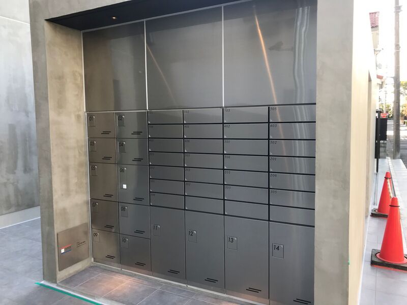 ゼルコヴァ その他4