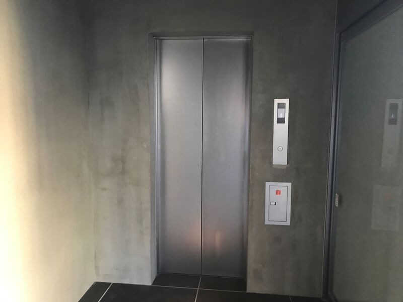 ゼルコヴァ その他5