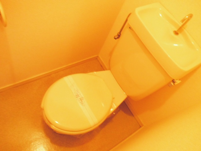 ウェルネスハイツ その他1