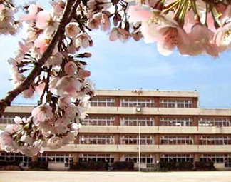 ビュークレスト  周辺画像5