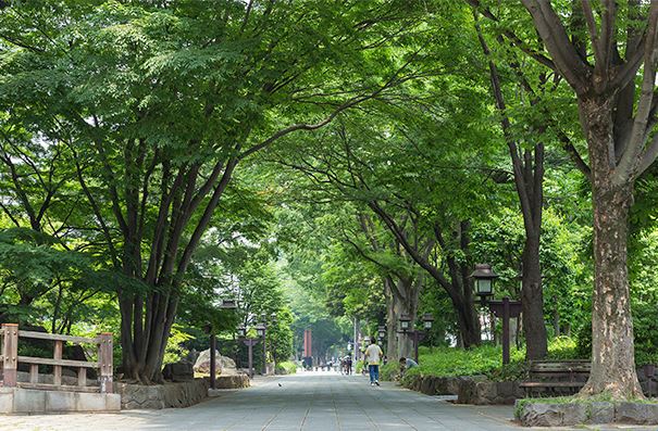 SERENTIO 周辺画像8