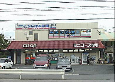 ウィンベルコーラス大宮 周辺画像10