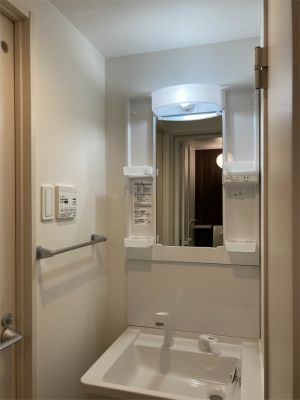 リブリ・OGW Ⅲ その他2