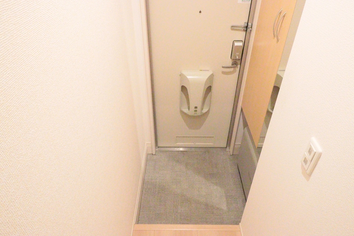 アレーズＫ 玄関