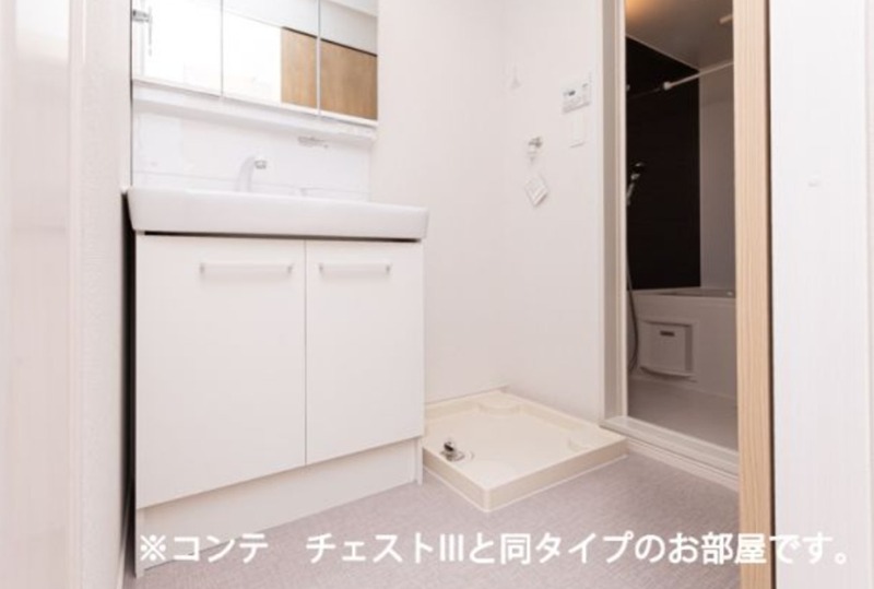 フラン　グレージュ その他2