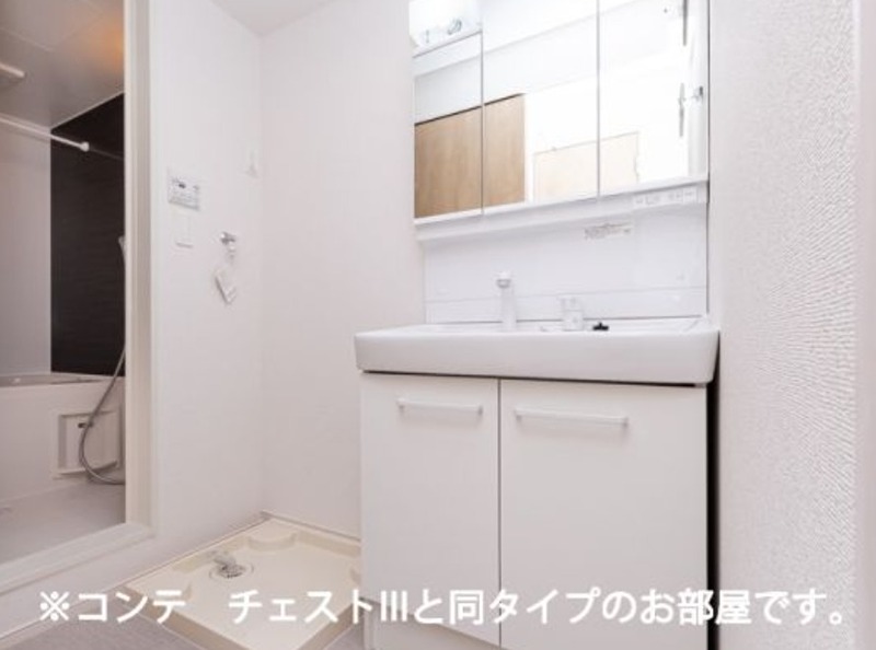 フラン　グレージュ その他2