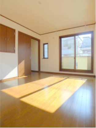 ピノカーサB  その他5