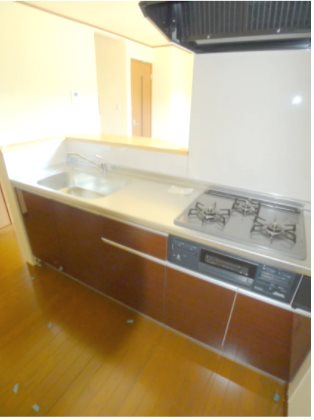 ピノカーサB  キッチン