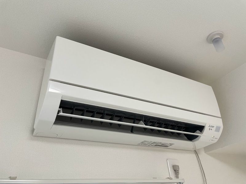 ホワイトオーキッド その他6