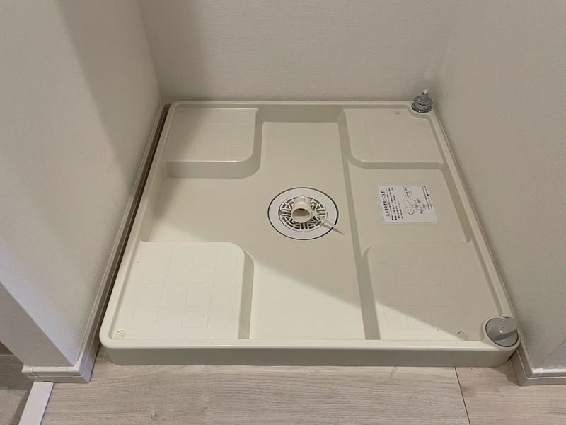 ホワイトオーキッド その他7