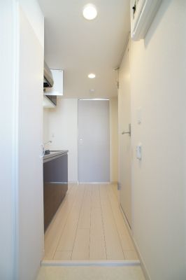 リブリ・ルポン その他10