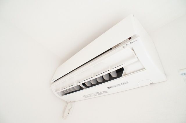 リブリ・絹 その他5