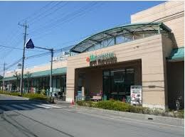 Noble raffiner東大宮 周辺画像9