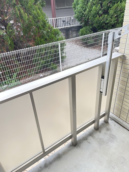 エクセレンテ その他7