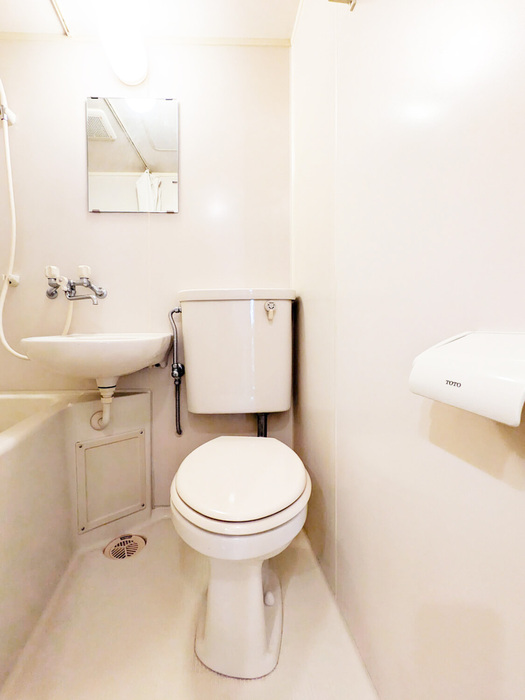 パフィオニッシン その他1