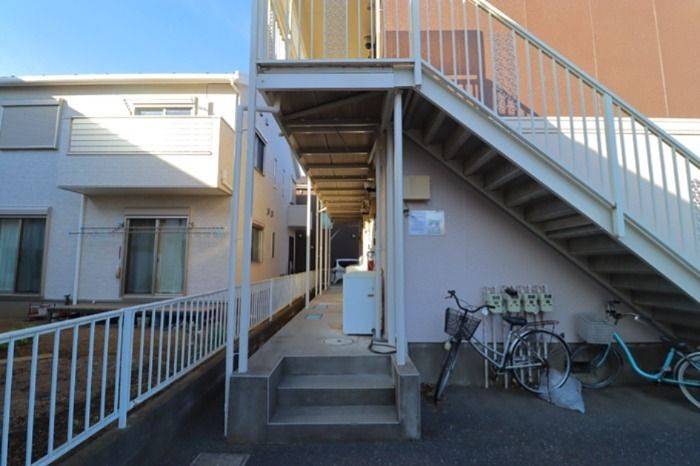 パフィオニッシン その他3