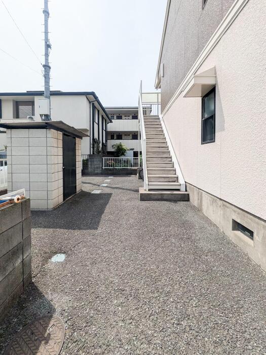 パフィオニッシン その他外観1