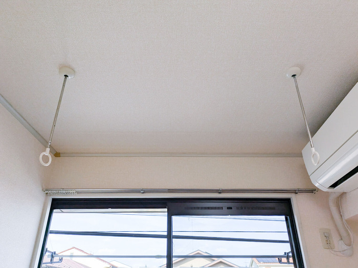 パフィオニッシン その他外観2