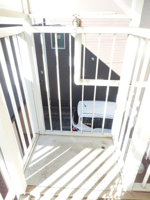 パフィオニッシン ベランダ