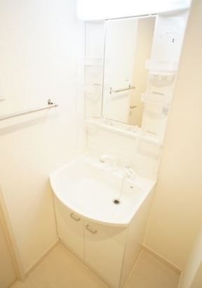 リブリ・すみれ草 その他2