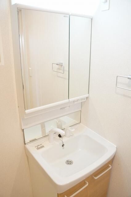 シャン　ラフレシール その他2