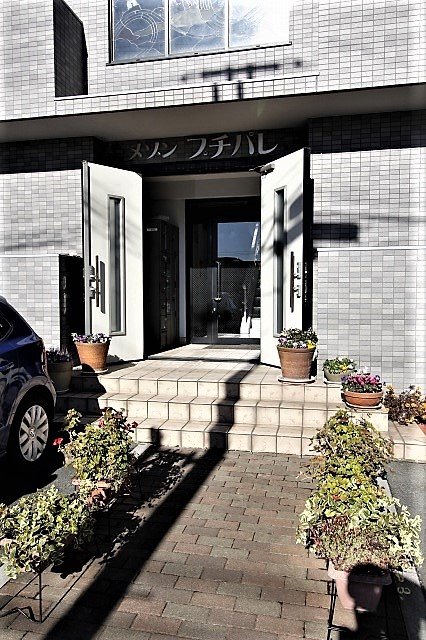 メゾンプチパレ その他外観1