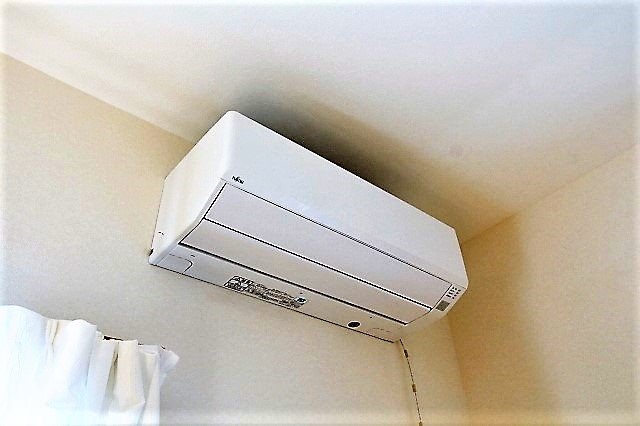 メゾンプチパレ その他7