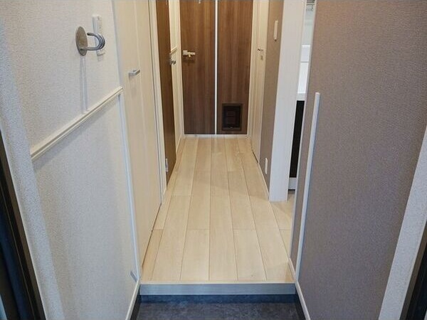 メゾン・シュシュⅡ 玄関