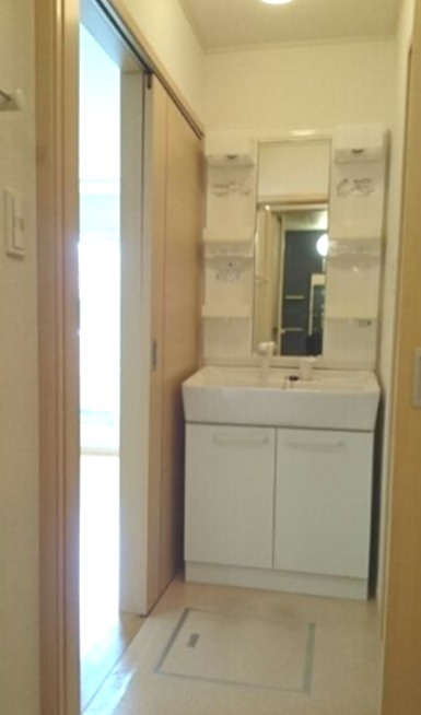 セントポーリアⅡ その他1