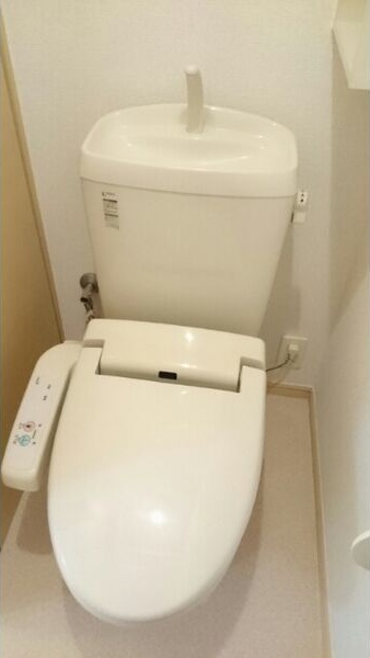 セントポーリアⅡ その他2