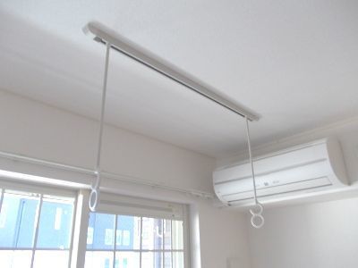 セントポーリアⅡ その他5