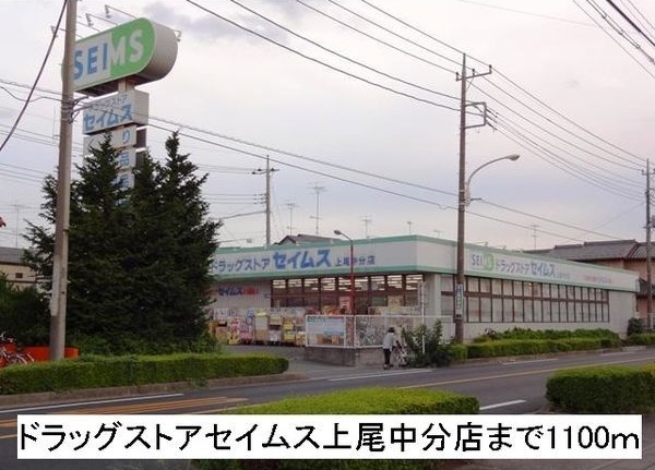 セントポーリアⅡ その他外観2