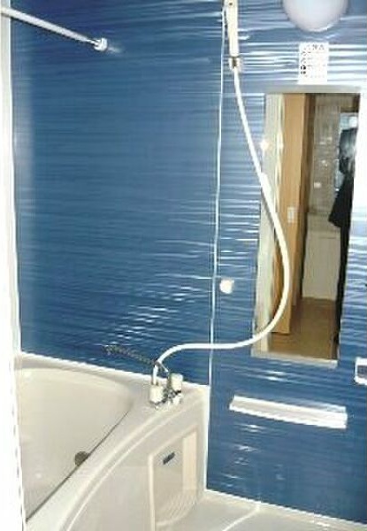 セントポーリアⅡ 風呂画像