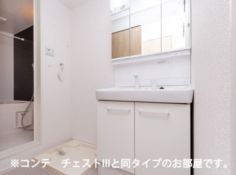 フラン　グレージュ その他2