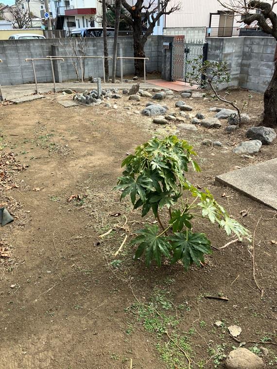 元町戸建 その他外観2