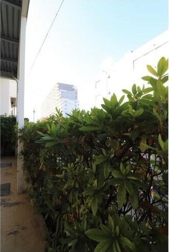 エステートピア　フラワー その他5