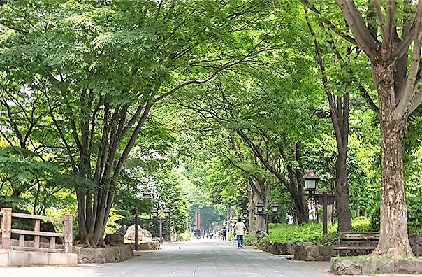 グリーンフォレスト大宮 周辺画像10