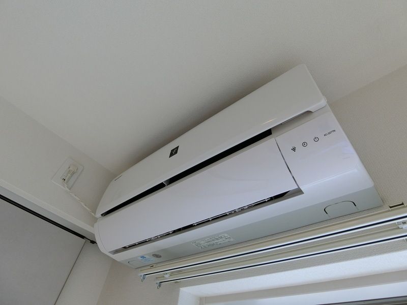 リブリ・チェリー その他4