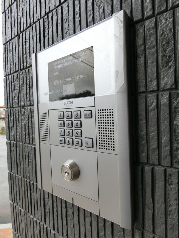 リブリ・チェリー その他5