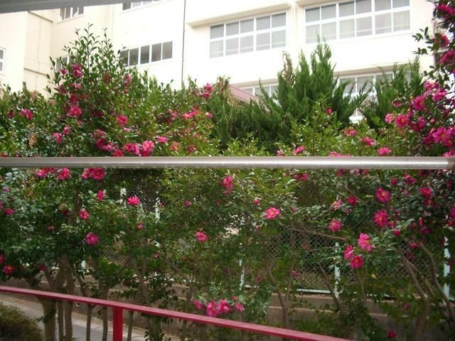 グリーンホーム大宮 その他5