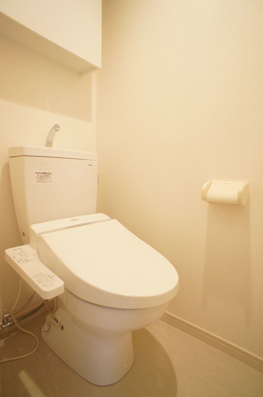 リブリ・絹 その他4