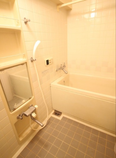 サエラ宮原 風呂画像